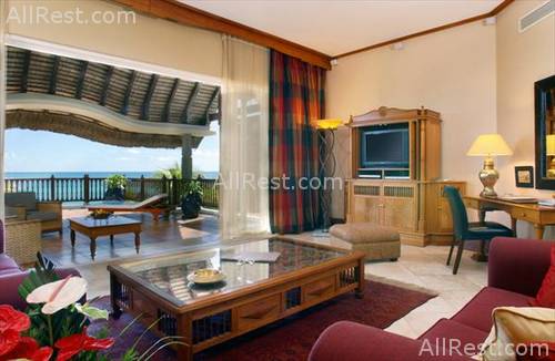 Royal Palm 6